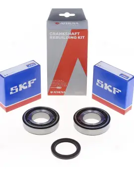 Kit Revisione Albero