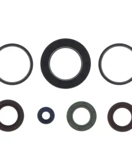 Serie Paraolio Motor