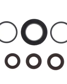 Serie Paraolio Motor