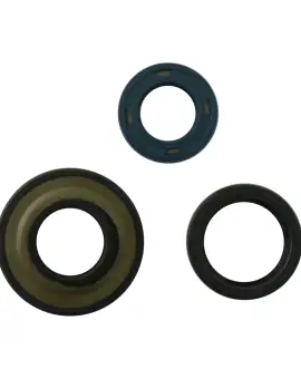 Serie Paraolio Motor