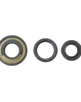 Serie Paraolio Motor
