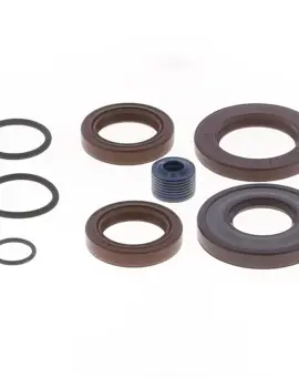 Serie Paraolio Motor