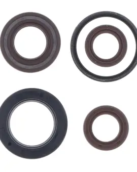 Serie Paraolio Motor