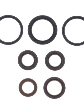 Serie Paraolio Motor