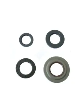 Serie Paraolio Motor