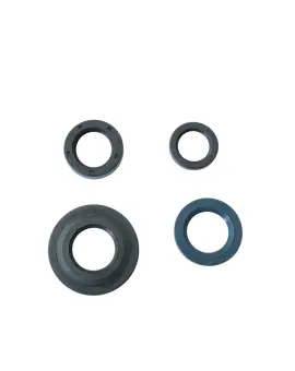 Serie Paraolio Motor