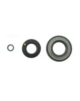 Serie Paraolio Motor