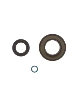 Serie Paraolio Motor