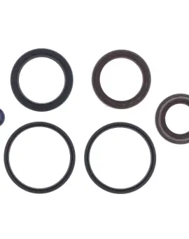 Serie Paraolio Motor