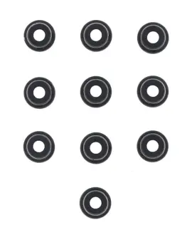 Serie Paraolio Guida