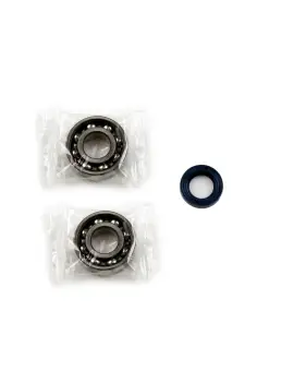 Kit Revisione Albero