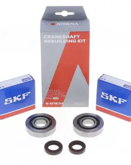 Kit Revisione Albero