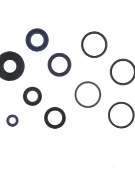 Serie Paraolio Motor
