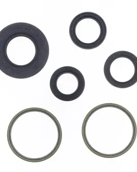 Serie Paraolio Motor