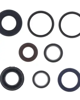 Serie Paraolio Motor