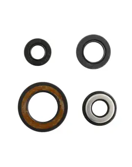 Serie Paraolio Motor
