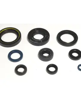 Serie Paraolio Motor