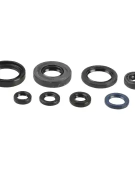 Serie Paraolio Motor