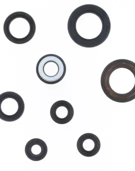 Serie Paraolio Motor