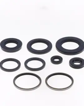 Serie Paraolio Motor