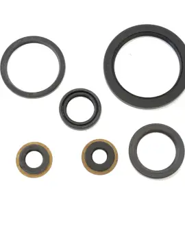 Serie Paraolio Motor
