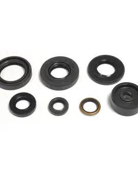 Serie Paraolio Motor