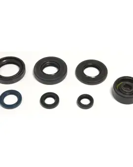 Serie Paraolio Motor