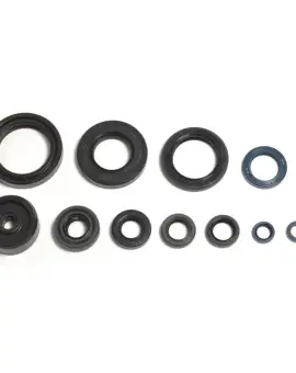 Serie Paraolio Motor