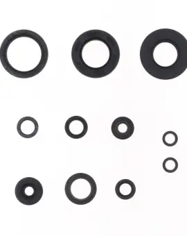 Serie Paraolio Motor