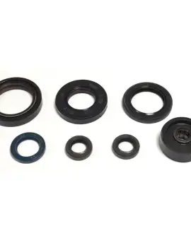 Serie Paraolio Motor