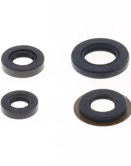 Serie Paraolio Motor
