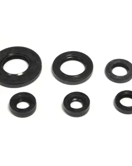 Serie Paraolio Motor