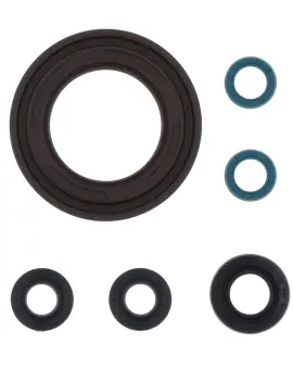 Serie Paraolio Motor