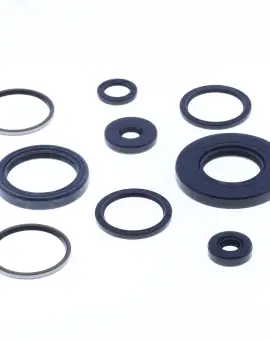 Serie Paraolio Motor