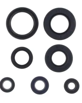 Serie Paraolio Motor