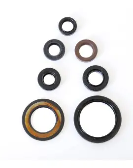 Serie Paraolio Motor