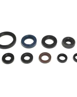 Serie Paraolio Motor