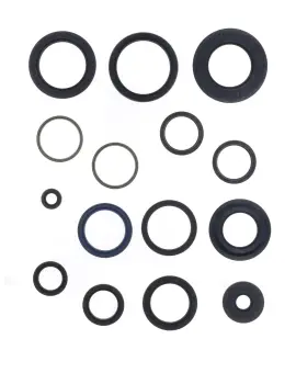 Serie Paraolio Motor