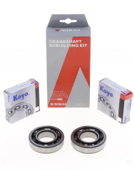 Kit Revisione Albero