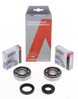 Kit Revisione Albero