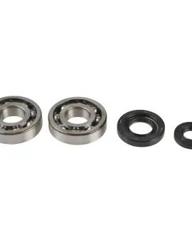 Kit Revisione Albero