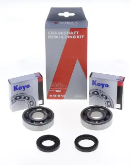Kit Revisione Albero