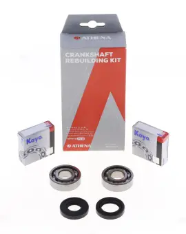 Kit Revisione Albero