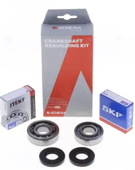 Kit Revisione Albero