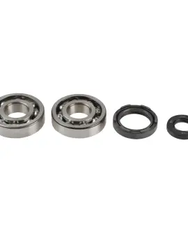 Kit Revisione Albero