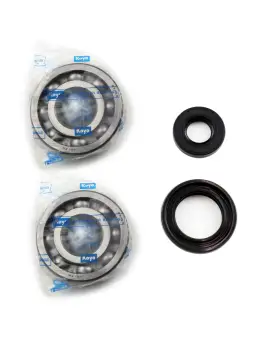 Kit Revisione Albero