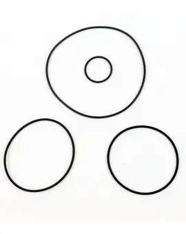 Kit O-ring testa cil