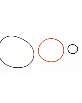 Kit O-ring testa cil