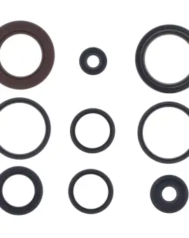 Serie Paraolio Motor