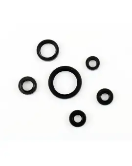 Serie Paraolio Motor